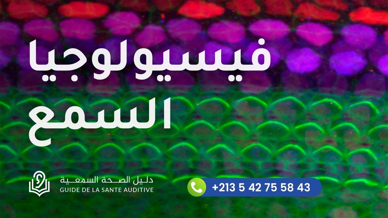 فيسيولوجا الأذن او كيف تتم عملية السمع