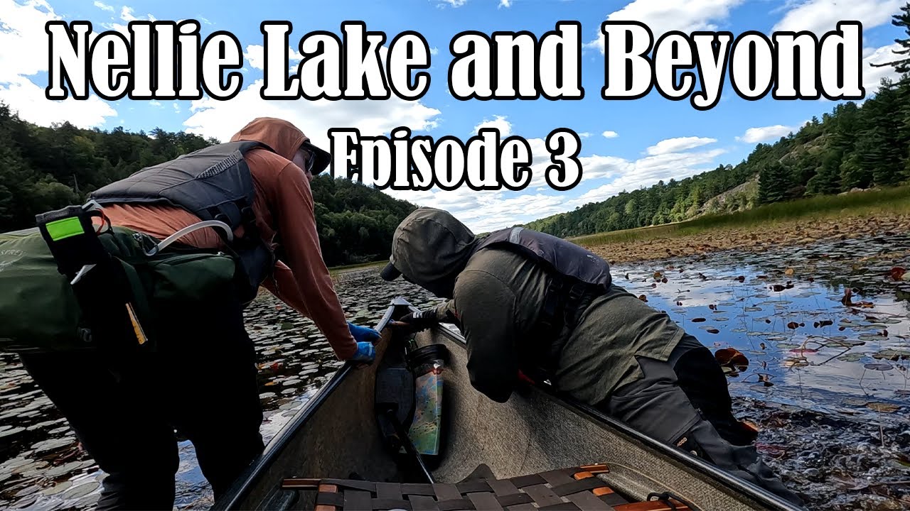 The Marriage Tester! Killarney PP (Ep. 3)