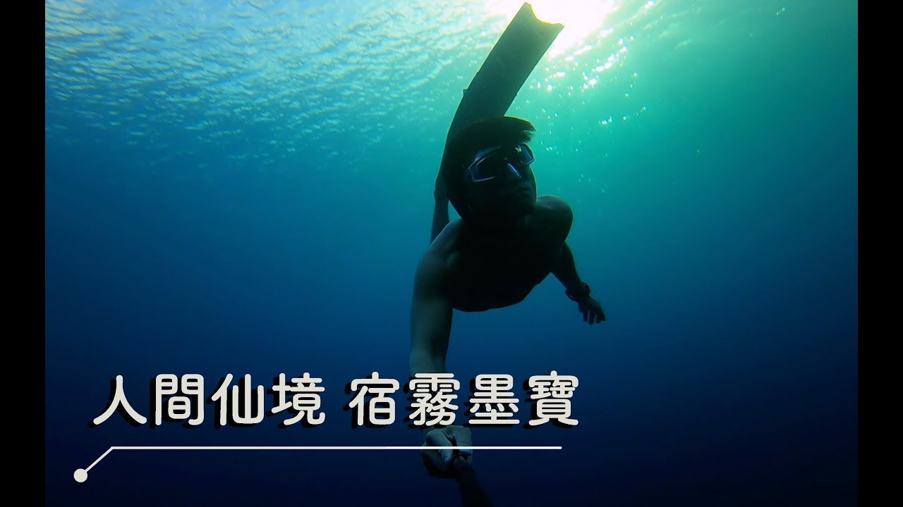 人間仙境 | 宿霧墨寶 | MOALBOAL | FREEDIVING | DAY1 | VLOG-029
