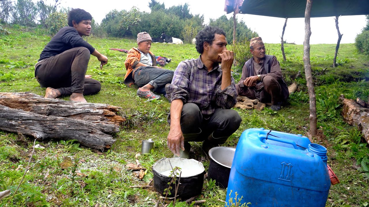 Himalayan shepherd life of Nepal || life in rural Nepal || @shepherdlifeofnepal