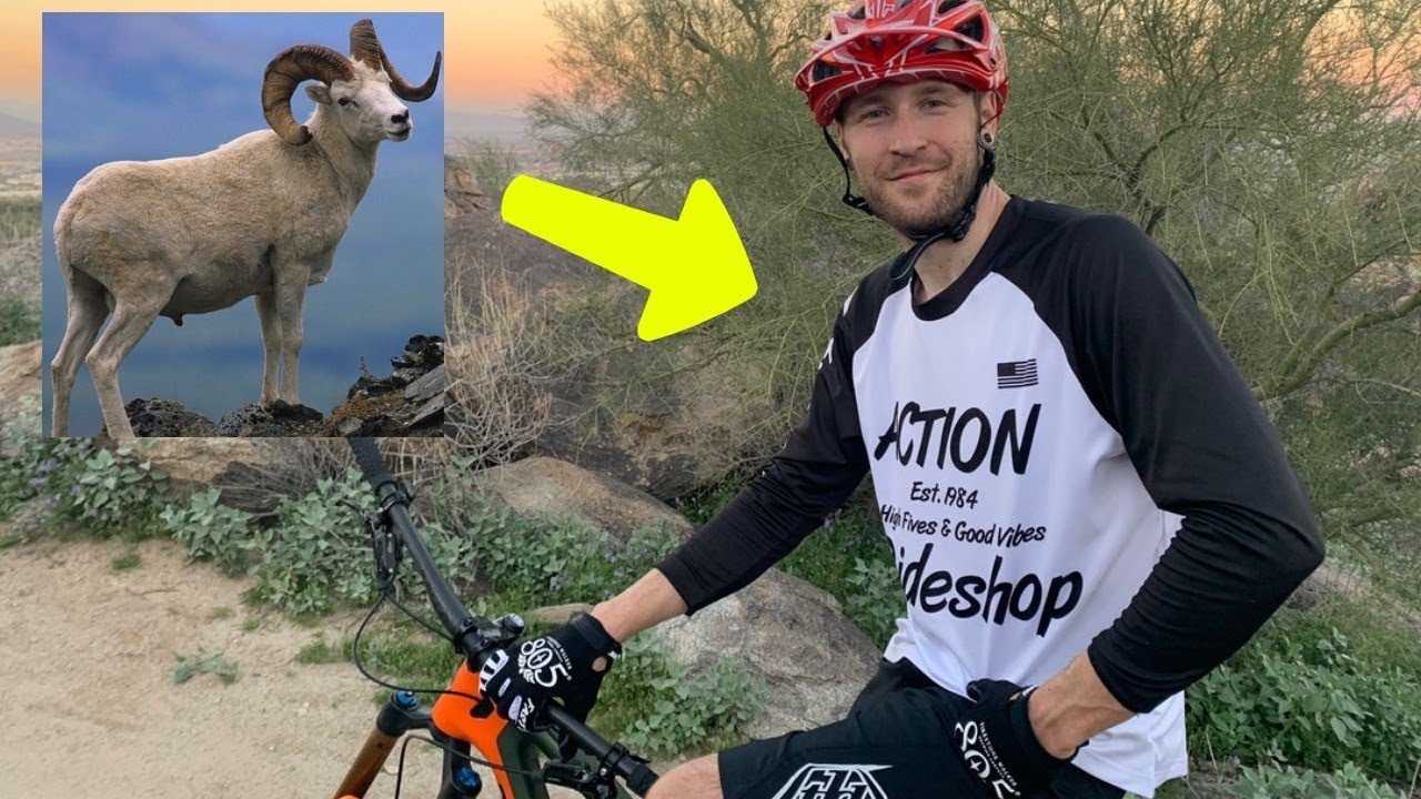 We Found The Best Riders In Phoenix! (South Mountain Action Ride Shop Group Ride)