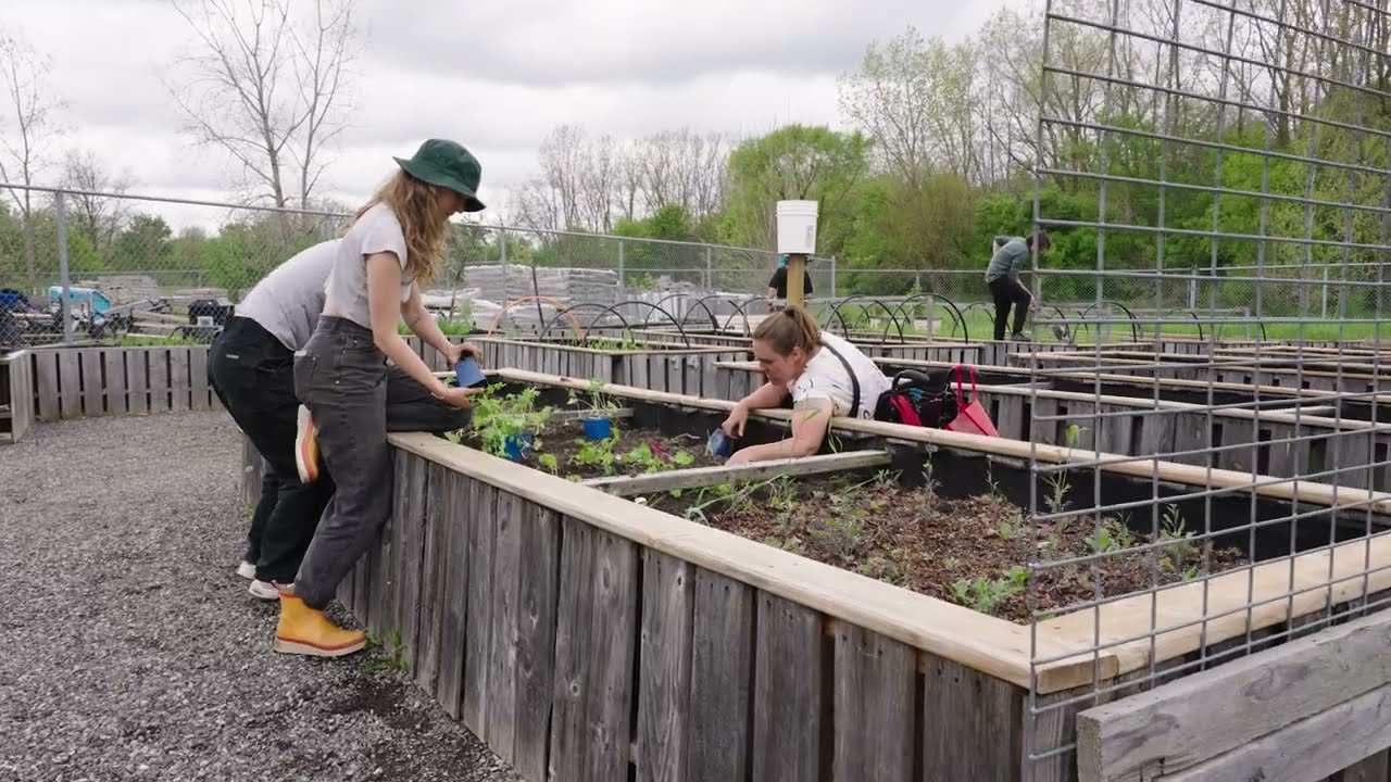 Healing Garden Enhancements | The PATCH - Environmental Action Incubator 2024-2025