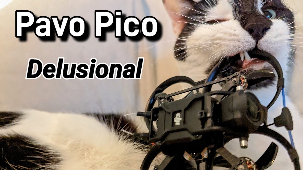 Pavo Pico - Delusional