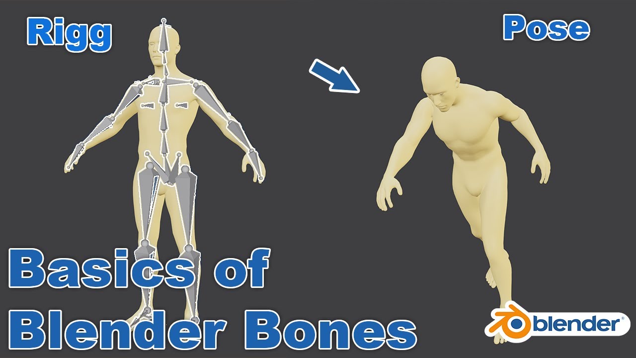 Basics of Rigging in Blender || Beginners Tutorial