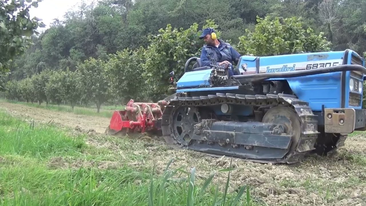 lavori autunnali in noccioleto, parte 2, vangatura