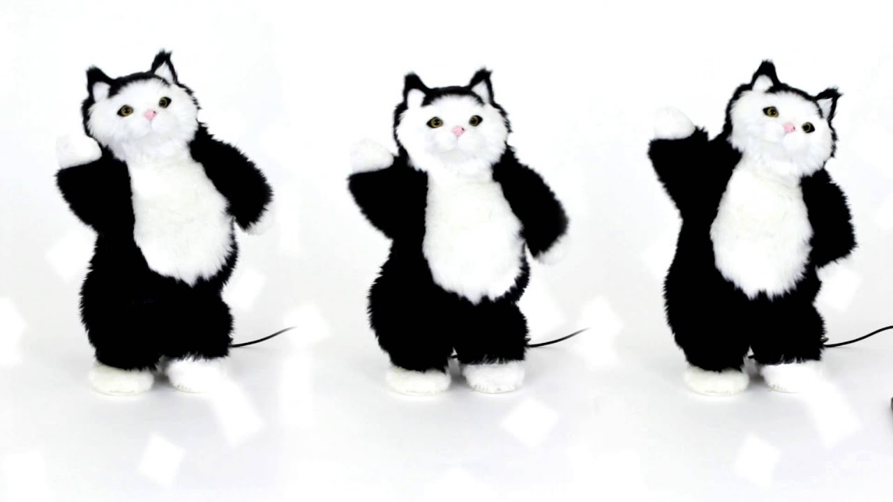 Gear It Dancing Cat Speaker