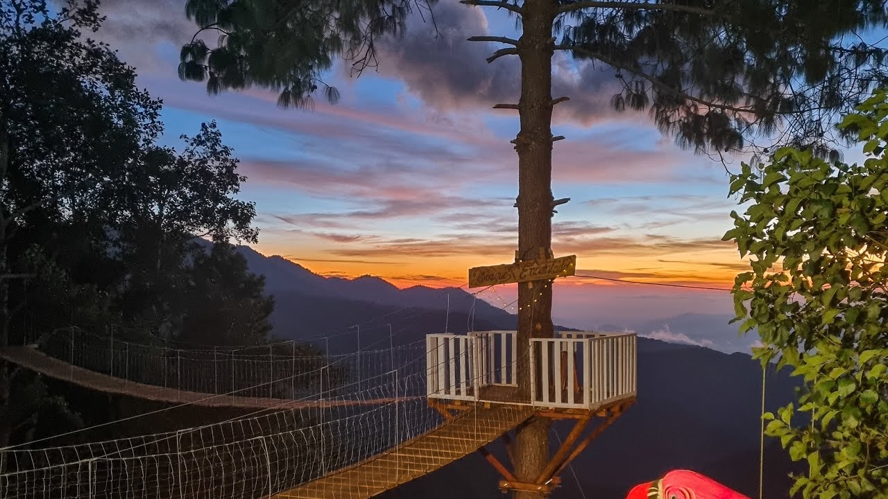 San José del Pacífico y su BOSQUE ENCANTADO  | ¿ Que hacer en San José de Pacífico, Oaxaca 2022?