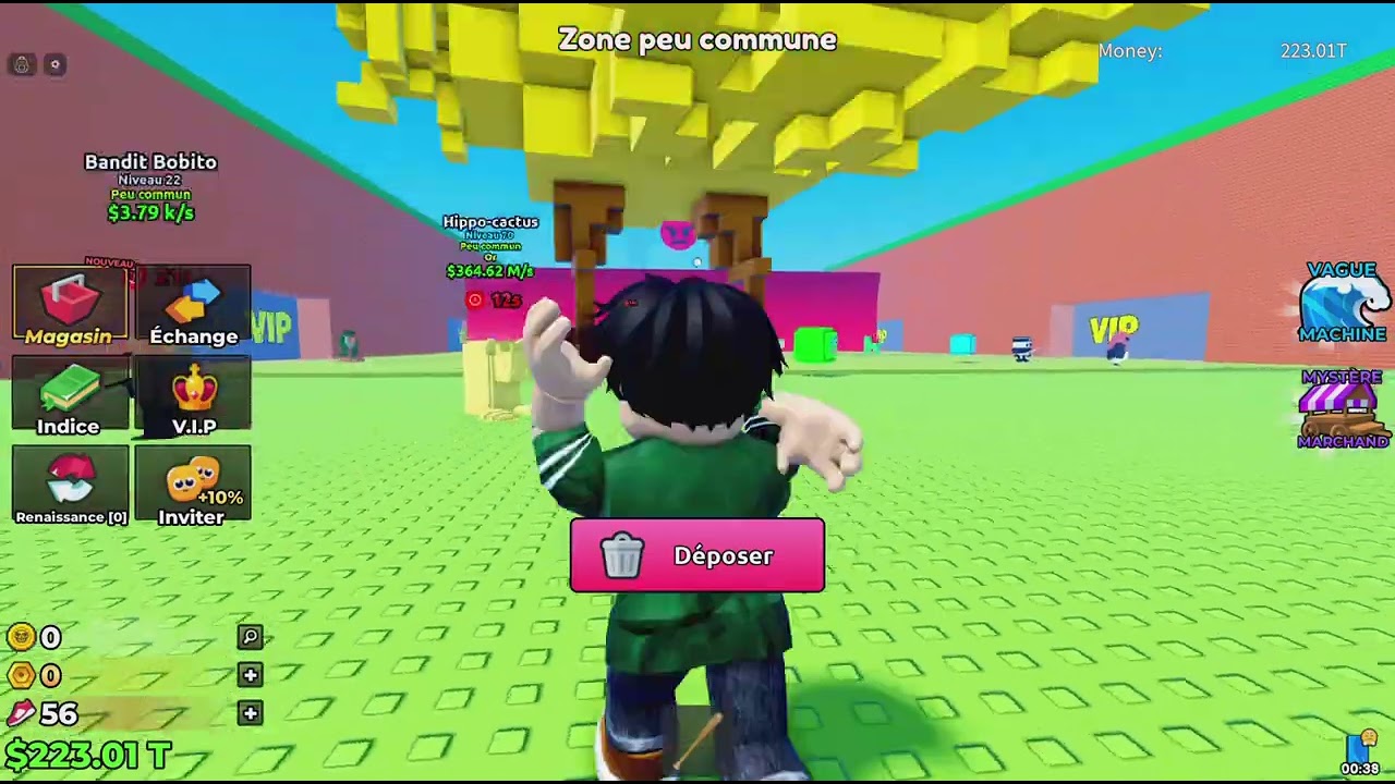 J'ai testé tsunami Branrots (trop bien🤩)