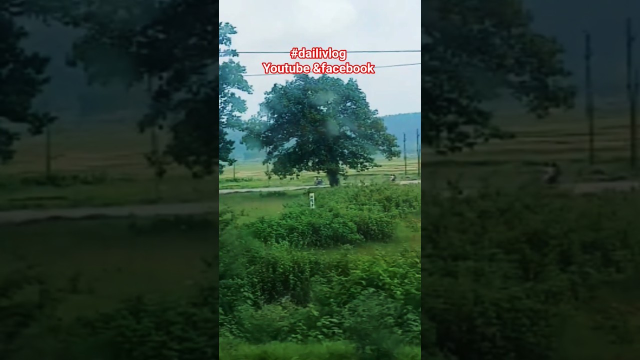 #travel #dailivlog #dailyvlog #journey #train journey #naturelovers #naturesounds #naturalbeauty