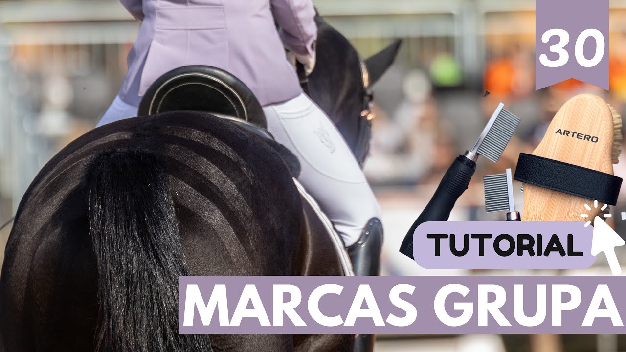 Aprende a hacer dibujos en la grupa de tu caballo 🐴🪮💜