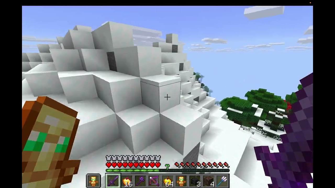 I tried killing the wither in Minecraft