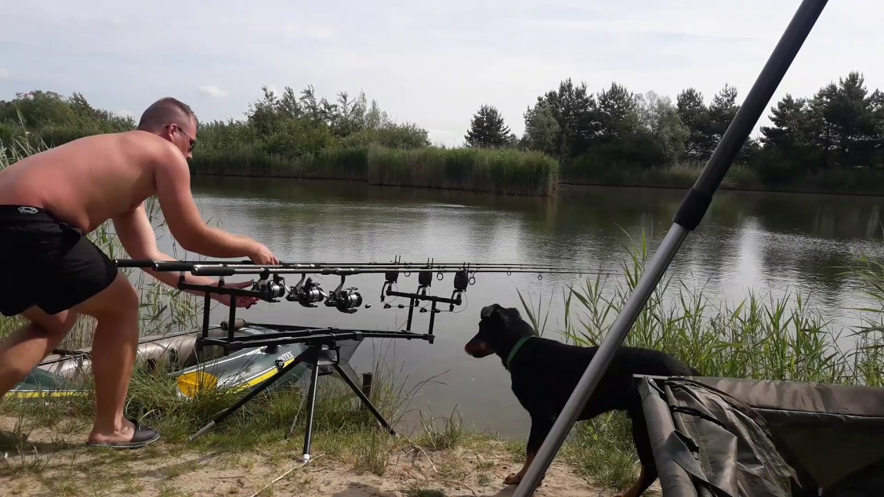 CARP RUN #1
