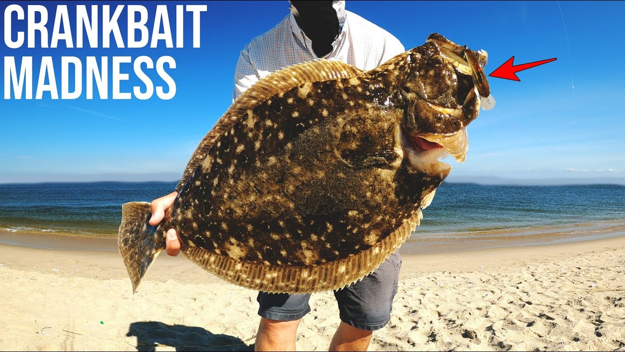 QUAD LIMIT of CRANKBAIT FLUKE - 7.5lb Kicker - Insane Flounder Fishing 2024