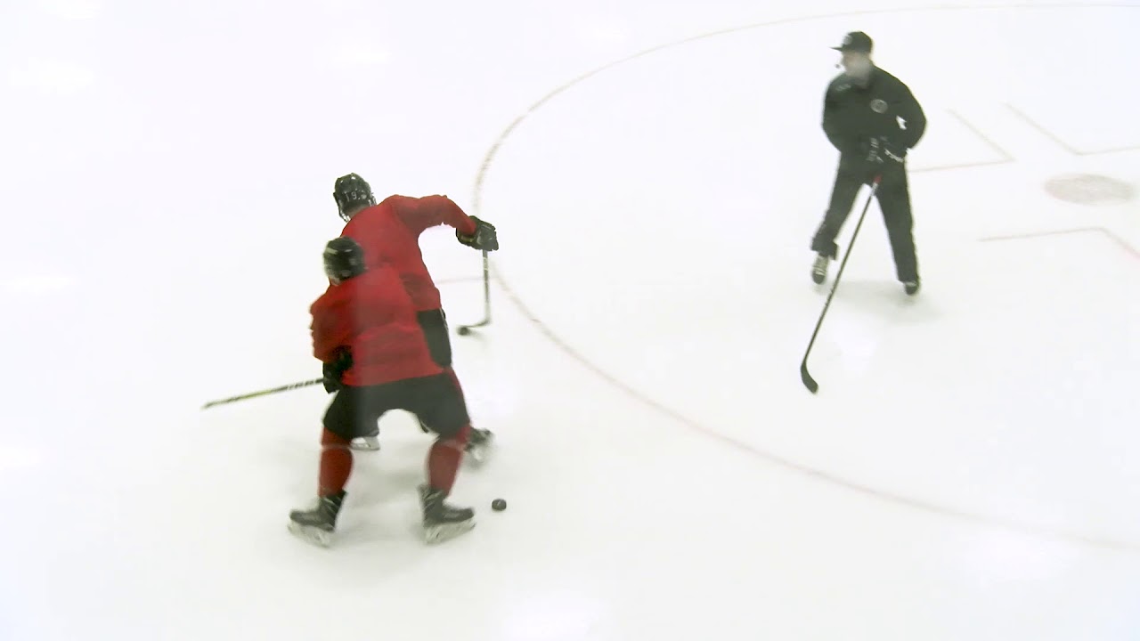 Pavel Barber - Teaching Puck Protection