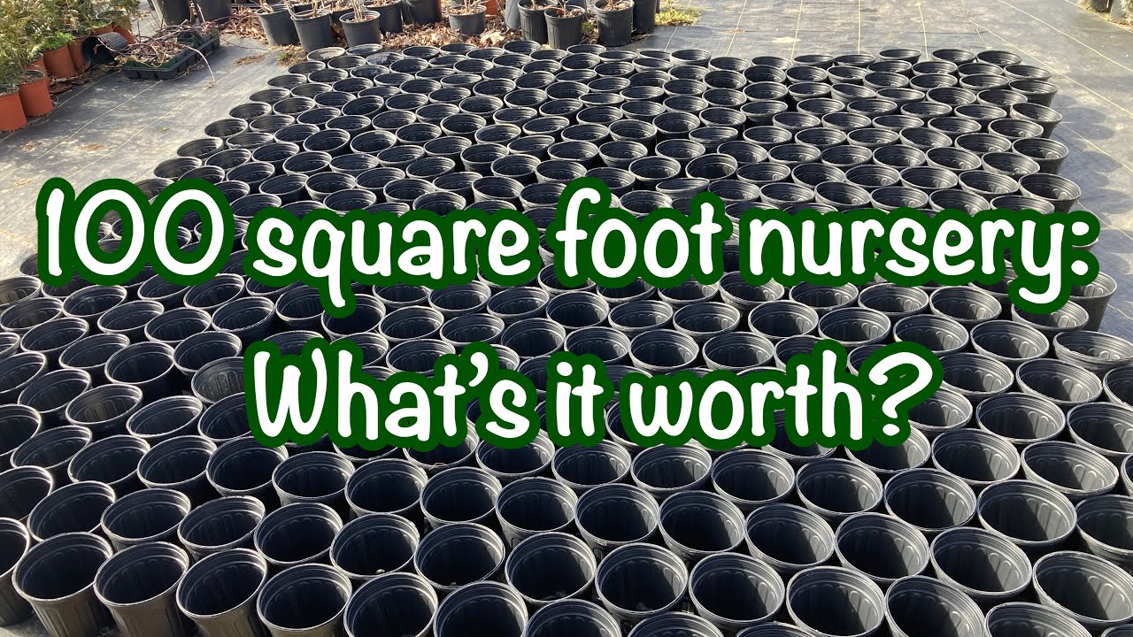 How much money is a 100 square feet nursery worth?