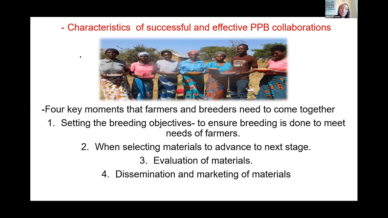 Engaging farmers, researchers & orgs in participatory plant breeding
