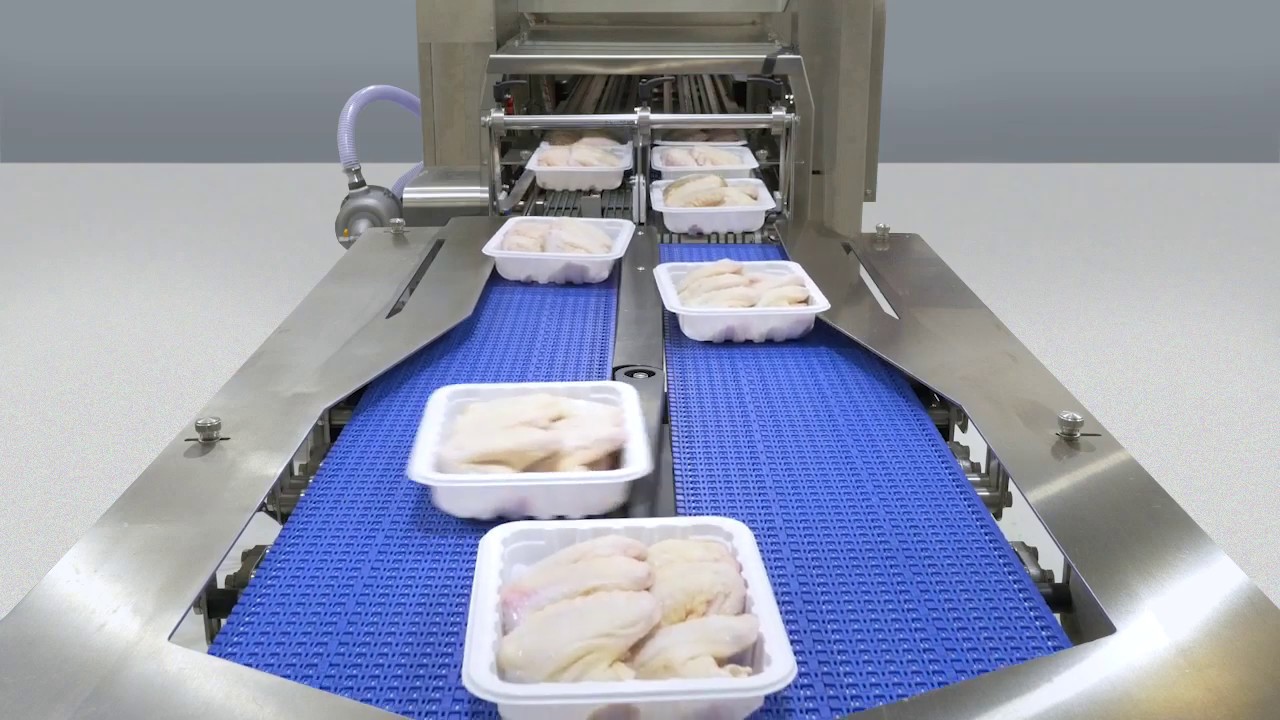 Ossid ReeMaster 800 Fully Automatic Tray Sealer - Chicken Wings