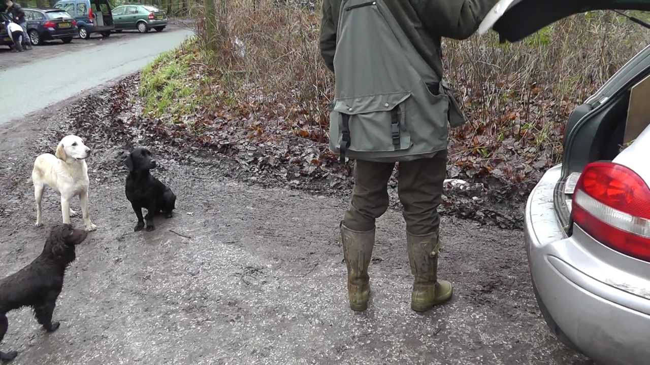 Dave Ross with Ravenshall Gundogs