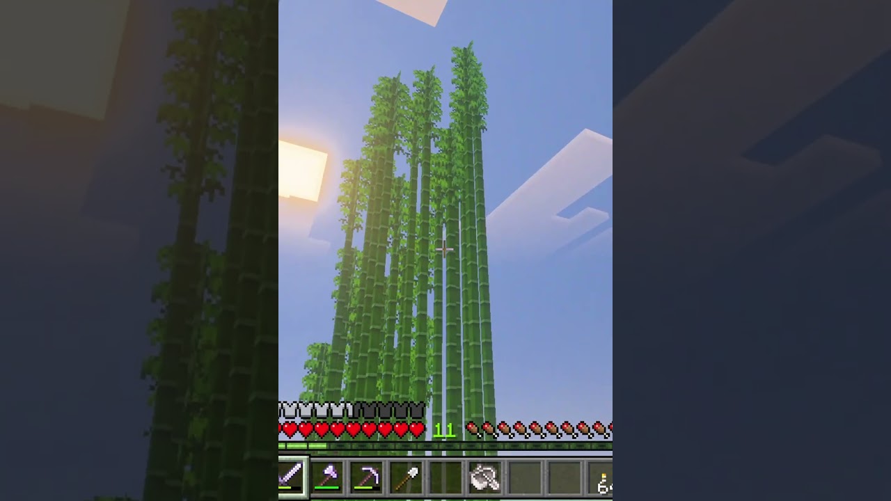 Following The Signs! #minecraftshorts