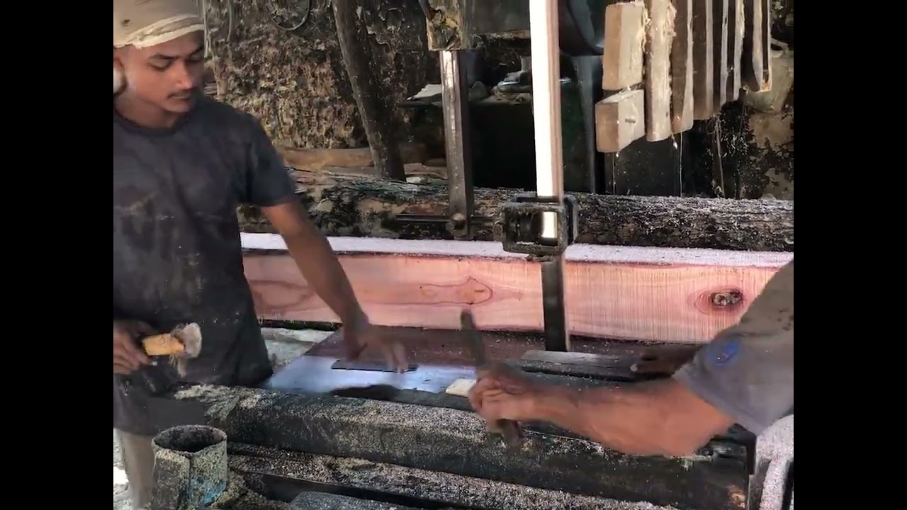 BIG WOOD CUTTING  SAW MILL WOOD CUTTING PROCESS