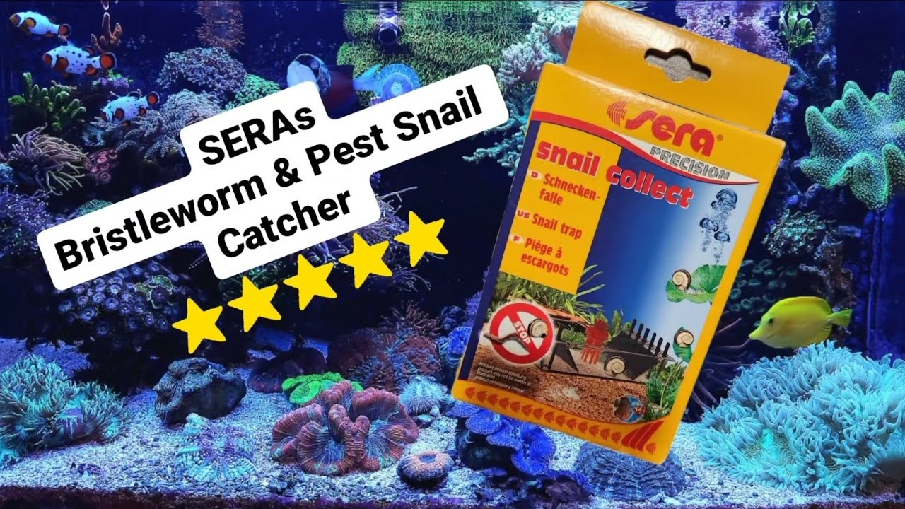 Sera's Snail and Bristle Worm Catcher Review (pest snails)