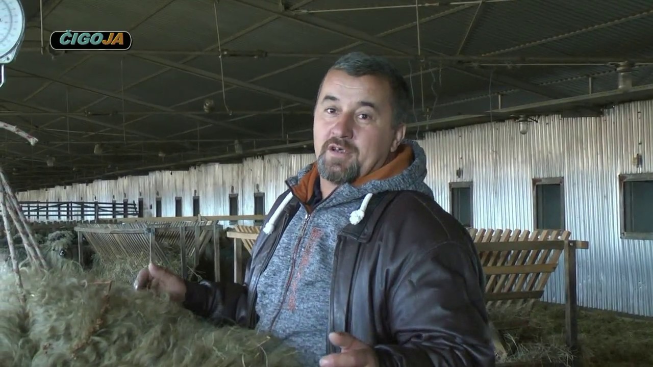 U POSJETI BRAKO MEVIC RUJNICA 2017 OVCARSTVO