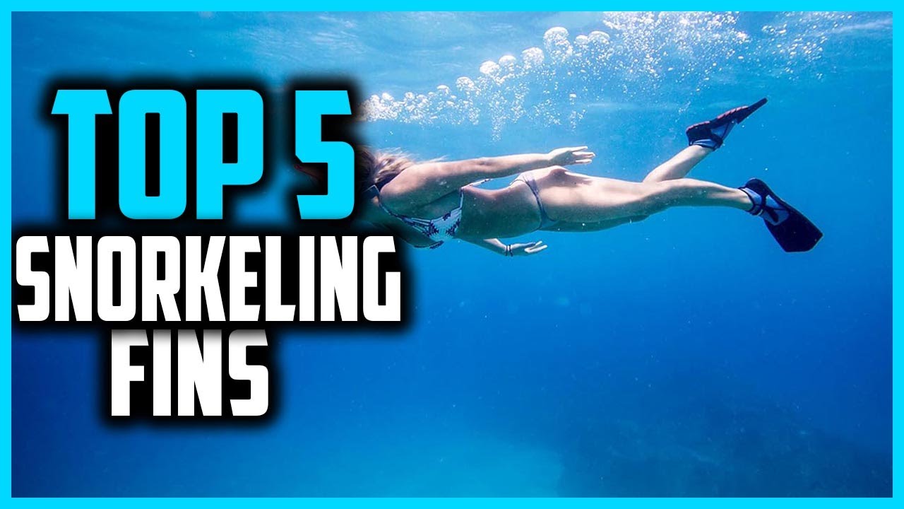 ✅Top 5 Best Snorkeling Fins in 2025