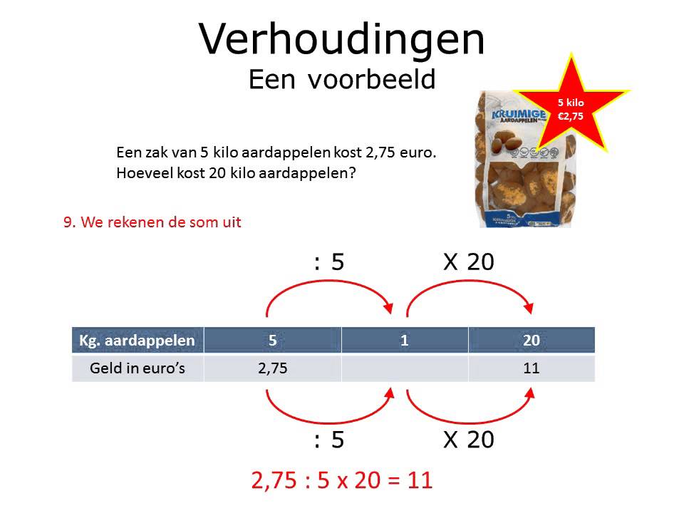 verhoudingstabel