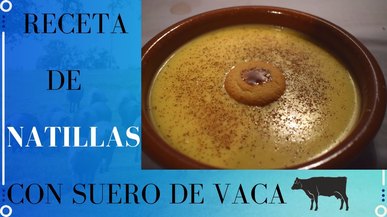 🤤!NATILLAS CASERAS con suero de leche¡🐄[Curso de cocina]