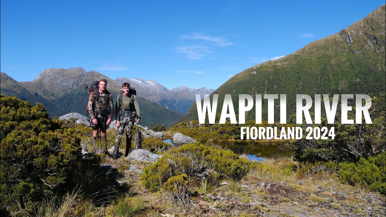 Fiordland Wapiti Hunting Adventure - 2024