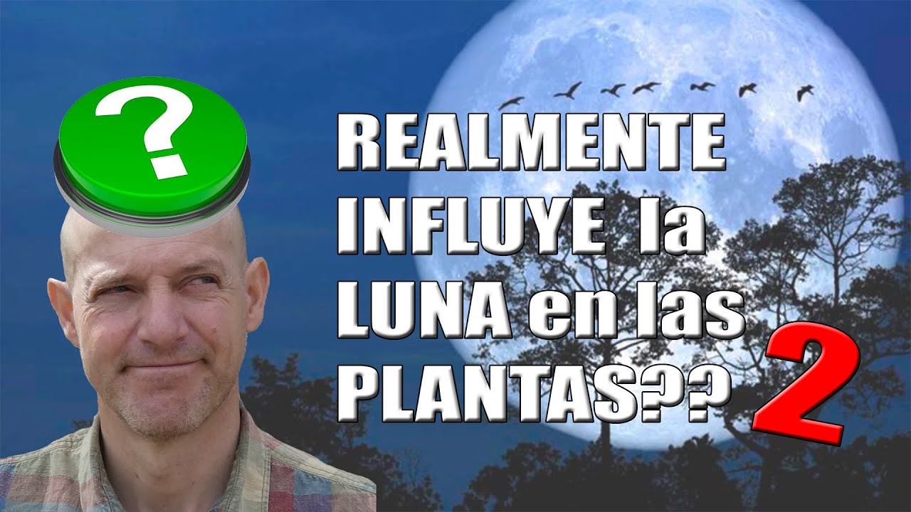 Influye la LUNA en las PLANTAS?  2/2