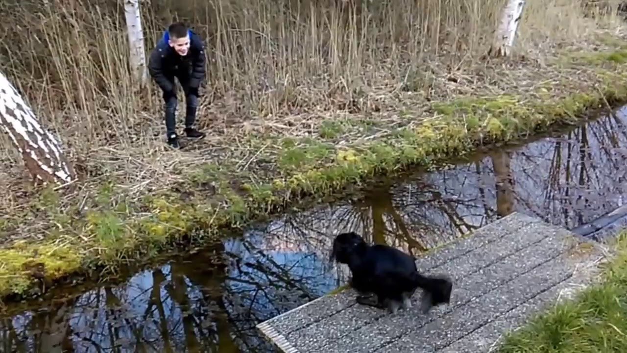 Lol met onze hond Sarah /  Markies