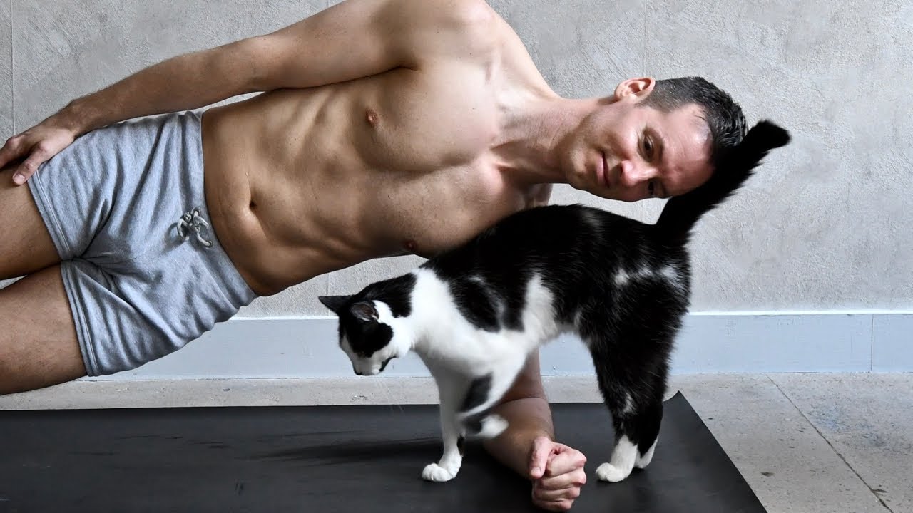 The Best PURRsonal Trainers In the WORLD!