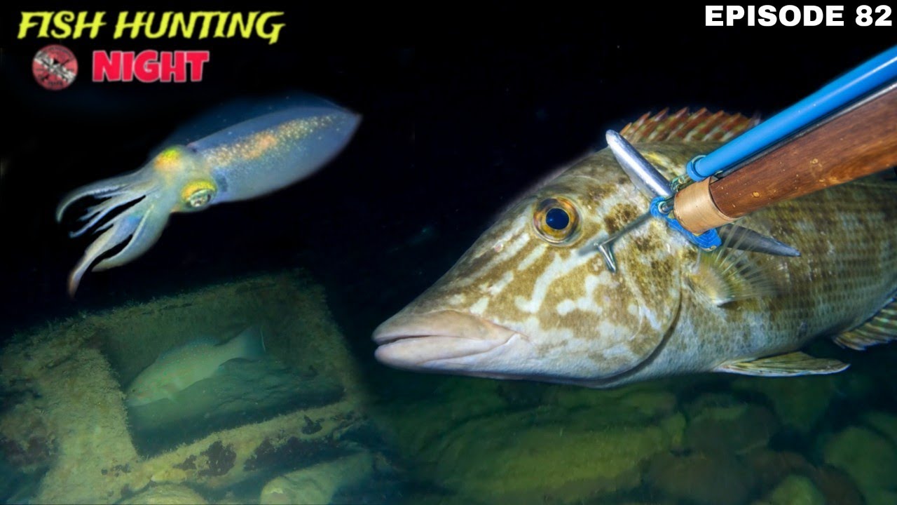 NIGHT SPEARFISHING EPISODE 82 | FISH HUNTING NIGHT