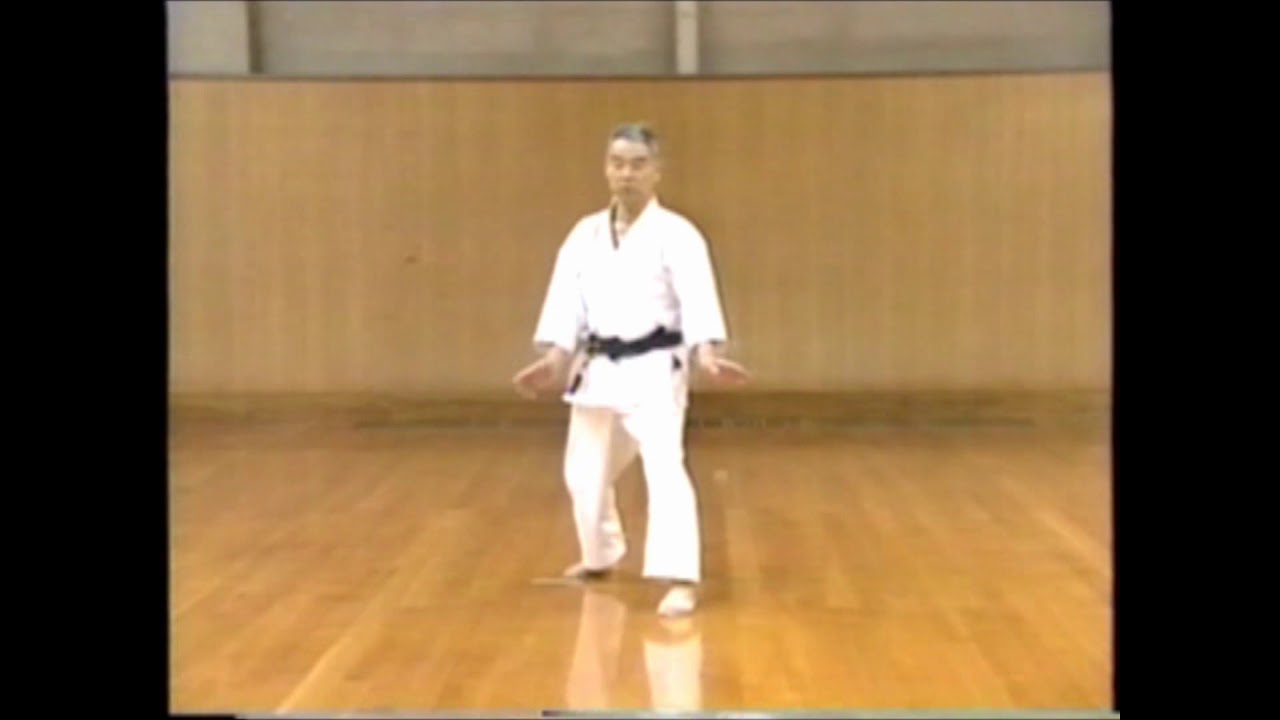 Kata Wado-Ryu Niseishi
