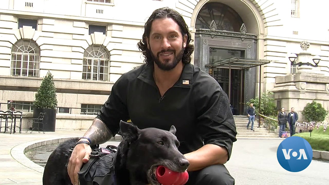 Top Honor For Hero Dog That Stopped White House Attack