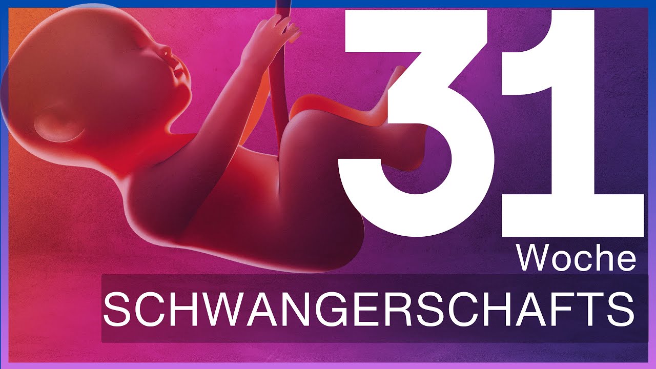 31. Schwangerschaftswoche: Wie bereite ich mich auf die Geburt vor? | Update 31 SSW &ndash; SSW 31