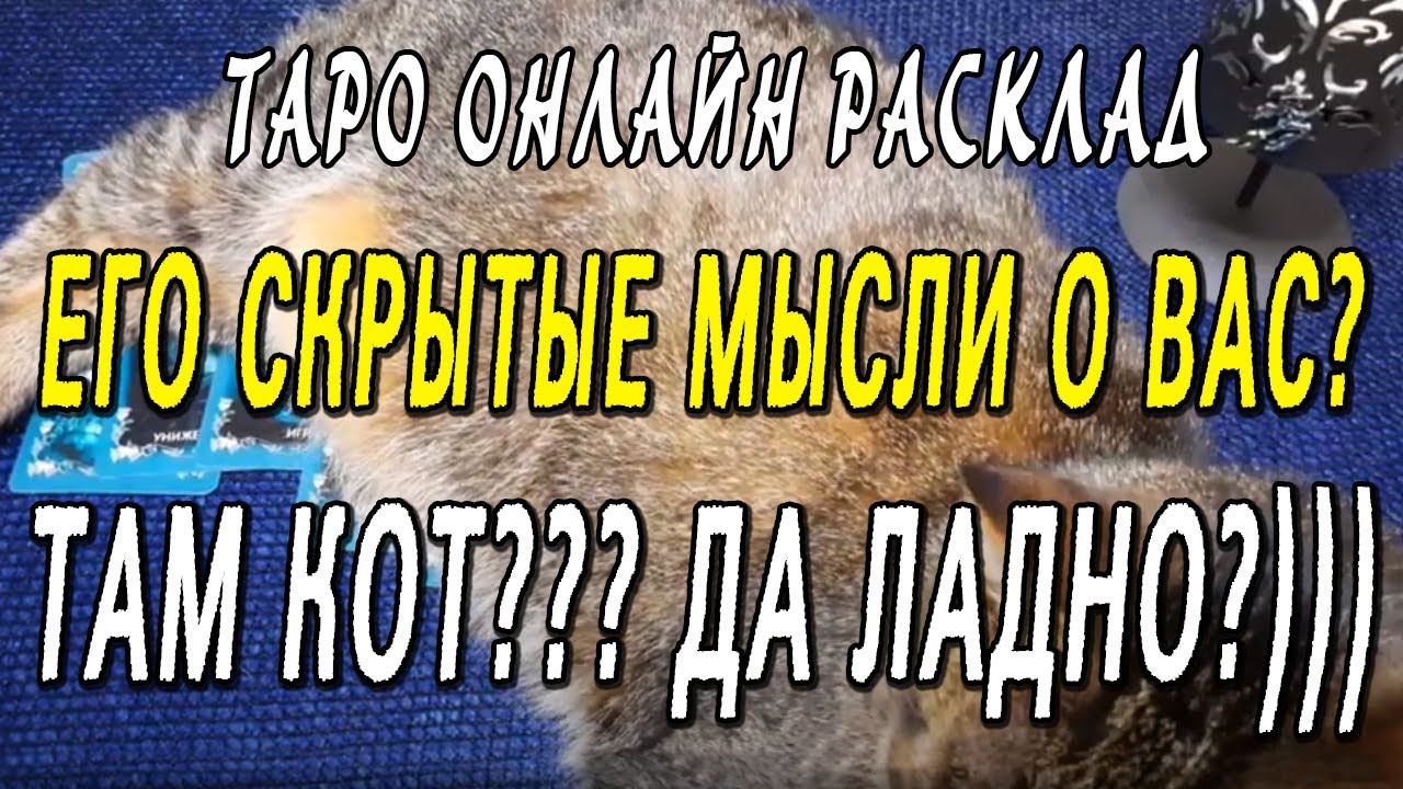 ЕГО СКРЫТЫЕ МЫСЛИ О ВАС? ТАМ КОТ??? ДА ЛАДНО?))) Таро онлайн расклад