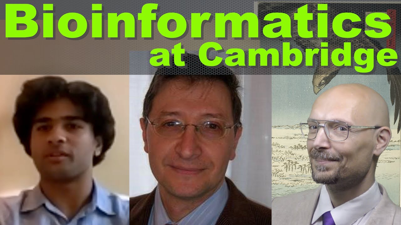 Doing Bioinformatics at Cambridge: questions from a potential applicant