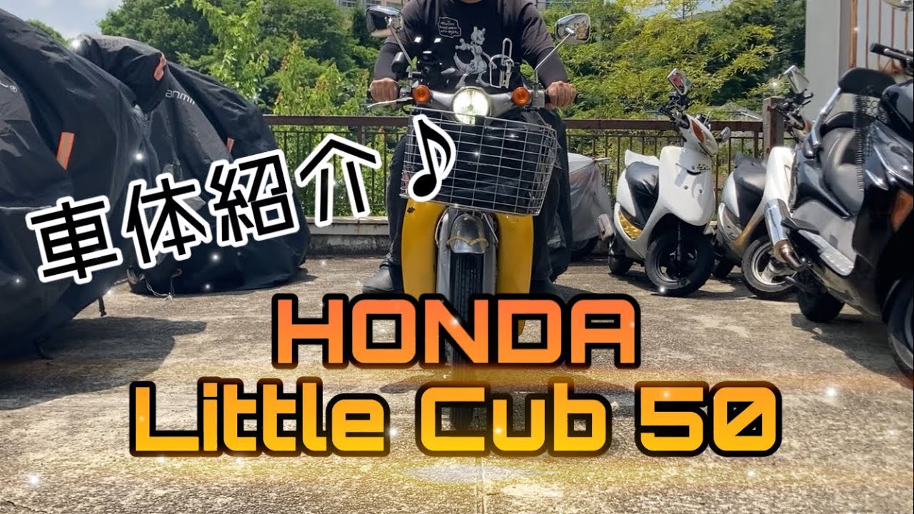 【HONDA】リトルカブ50♪ 車体紹介！【原付】