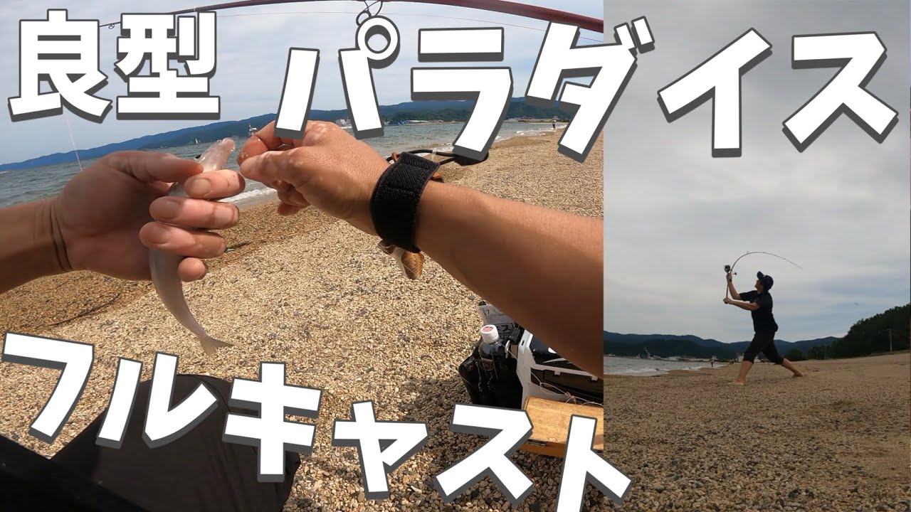 ふらっと立ち寄った気比の松原で良型鱚キスのポイント発見！