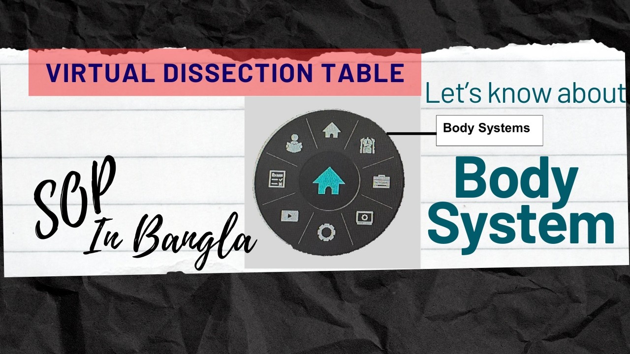 SOP- How to navigate Body System icon II Virtual Dissection Table II Anatomy Simulator