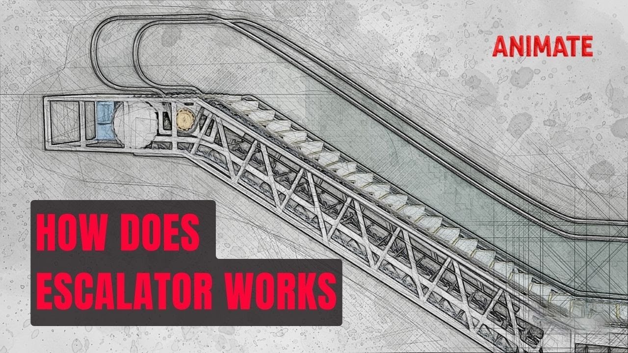 HOW IT WORKS | Escalators