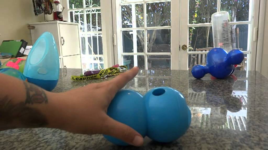 8 Treat-Dispensing Dog Toys Reviewed