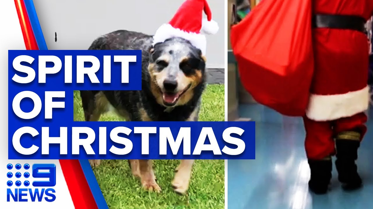 Coronavirus: Sydney families celebrate Christmas with restrictions | 9 News Australia