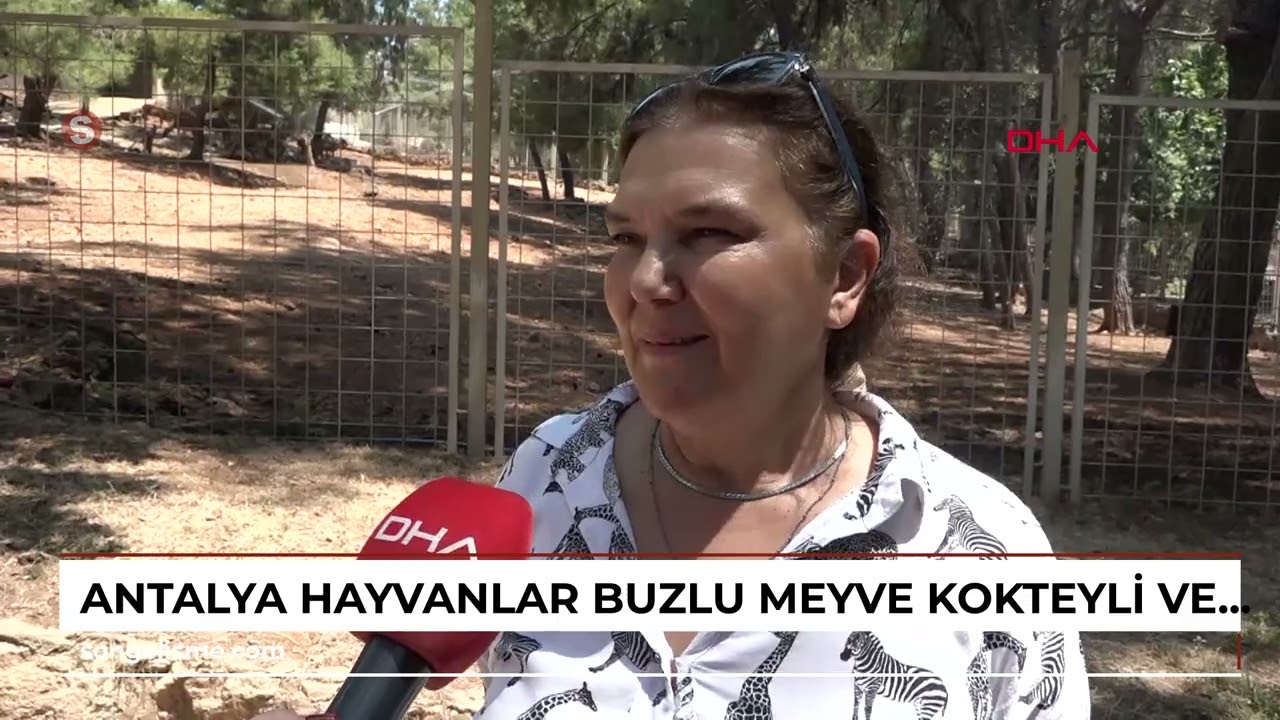 ANTALYA Hayvanlar buzlu meyve kokteyli ve fıskiye ile serinletiliyor