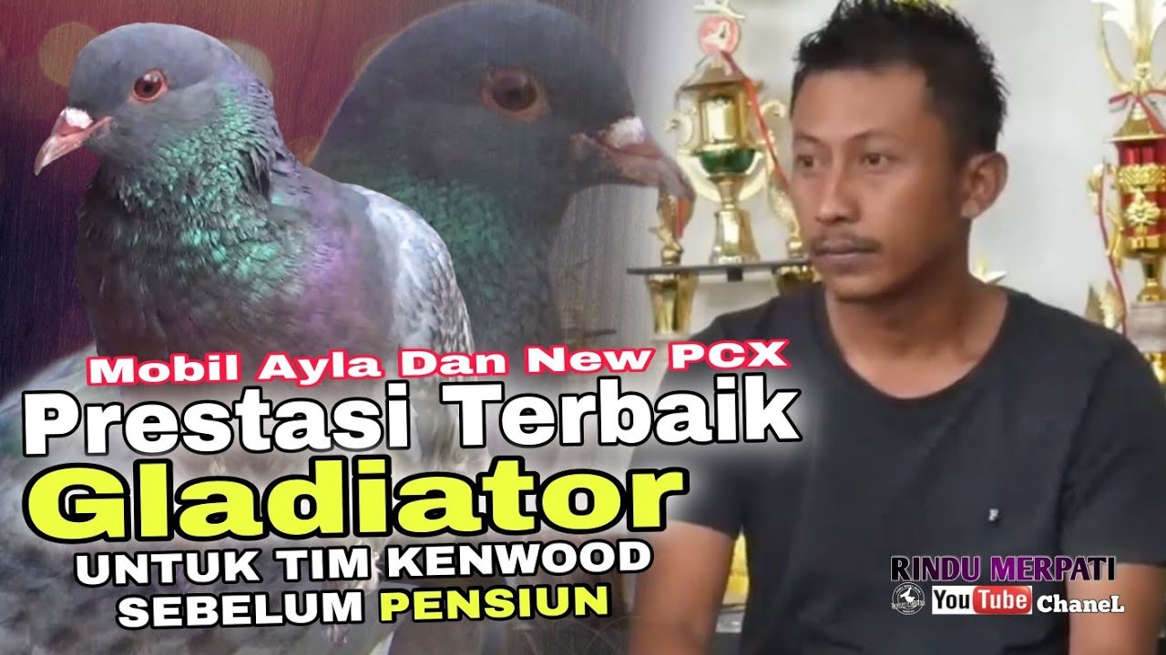 PERSEMBAHAN PRESTASI TERBAIK GLADIATOR SEBELUM PENSIUN UNTUK TIM KENWOOD
