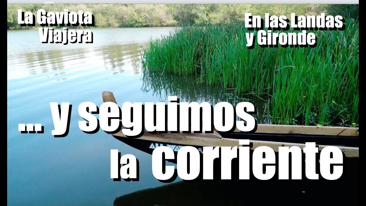 La Gaviota Viajera #132: 