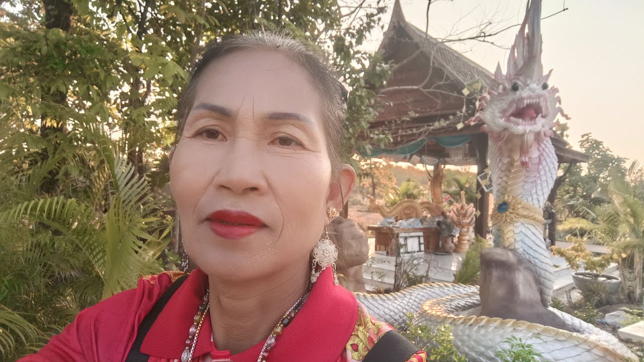 สด   วันนี้เป็นวันของเรา