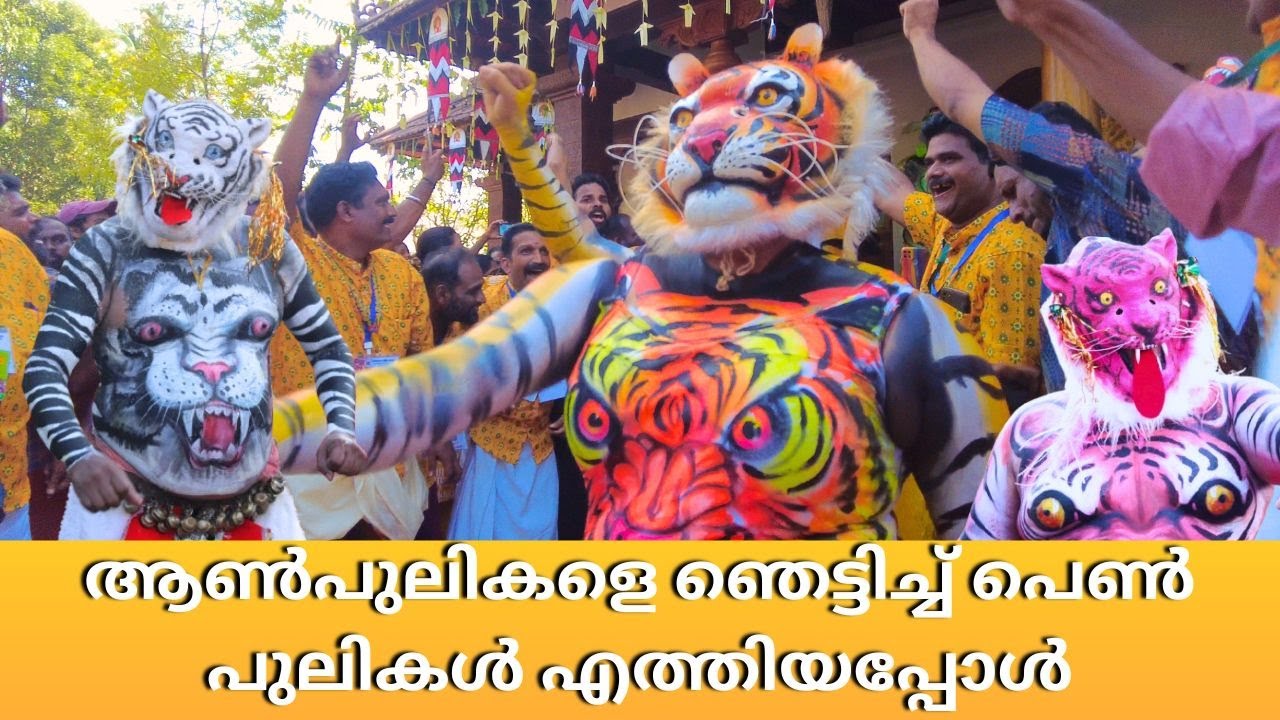 ആൺപുലികളും പെൺപുലികളും വന്നതോടുകൂടി ആവേശം 100രട്ടി🔥Pulikali 2024 | kerala | Thrissur